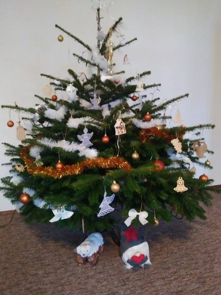 Vánoce s Drbnou: Soutěžní stromečky