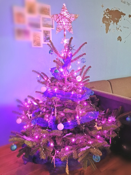 Vánoce s Drbnou: Soutěžní stromečky