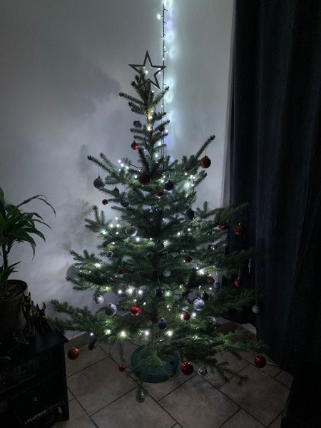 Vánoce s Drbnou: Soutěžní stromečky