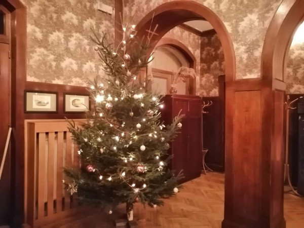 Vánoce s Drbnou: Soutěžní stromečky