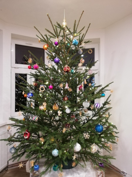 Vánoce s Drbnou: Soutěžní stromečky