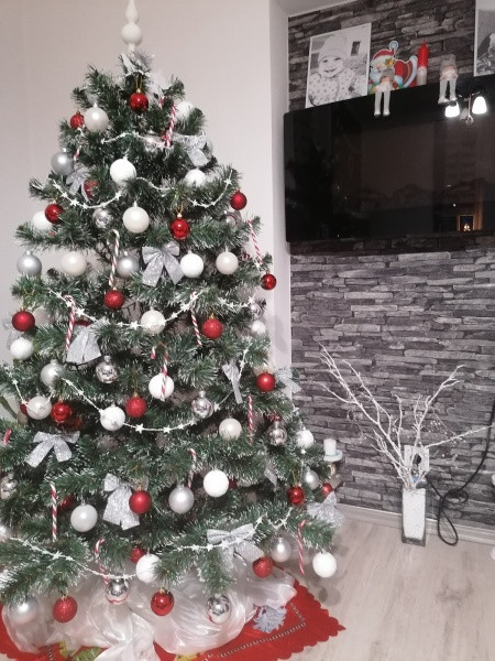 Vánoce s Drbnou: Soutěžní stromečky