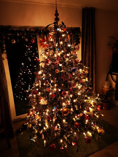 Vánoce s Drbnou: Soutěžní stromečky