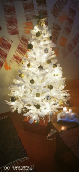 Vánoce s Drbnou: Soutěžní stromečky