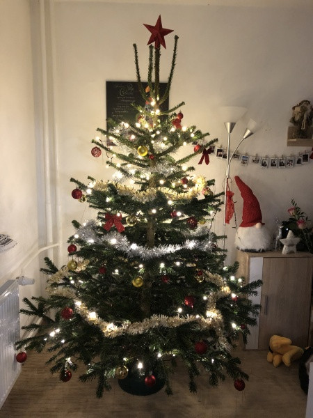 Vánoce s Drbnou: Soutěžní stromečky