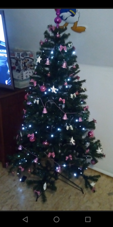 Vánoce s Drbnou: Soutěžní stromečky