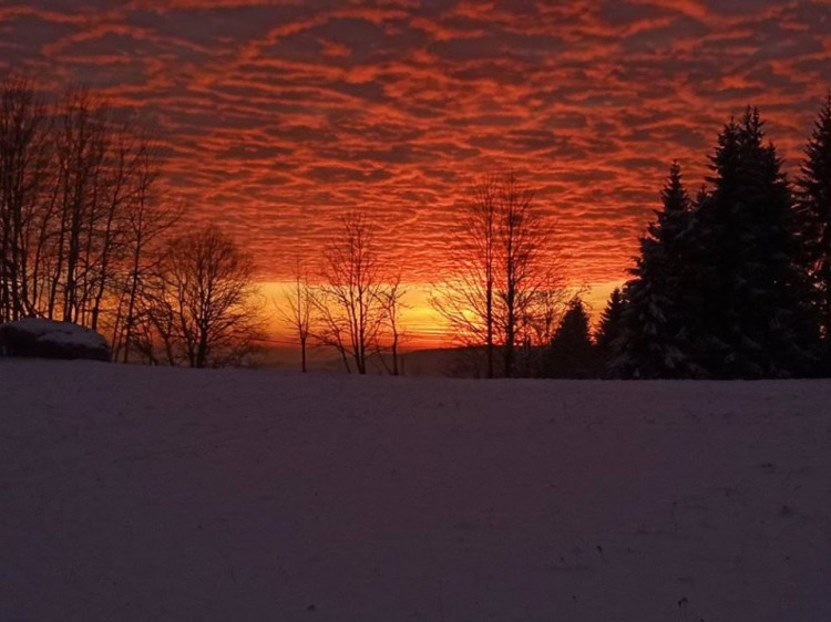 Lucie Burdová Dostálová