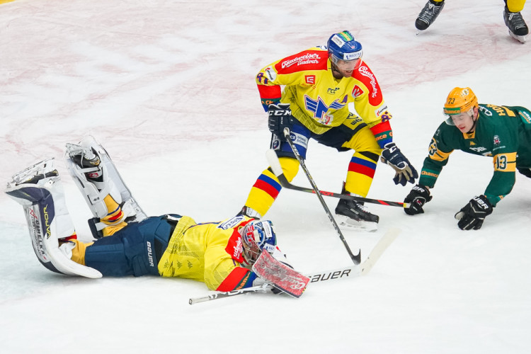 ČEZ Motor České Budějovice vs VHK ROBE Vsetín