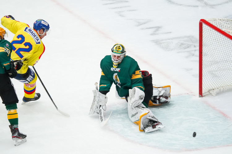 ČEZ Motor České Budějovice vs VHK ROBE Vsetín