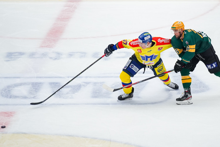 ČEZ Motor České Budějovice vs VHK ROBE Vsetín