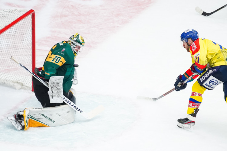 ČEZ Motor České Budějovice vs VHK ROBE Vsetín