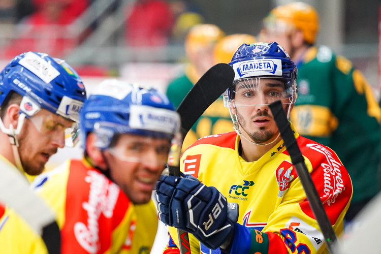 ČEZ Motor České Budějovice vs VHK ROBE Vsetín