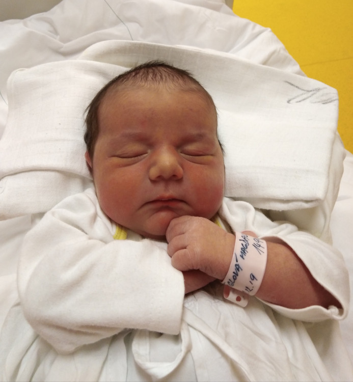 Magdaléna Rýglová