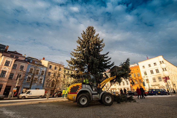 Z Masarykova náměstí mizí vánoční stromeček