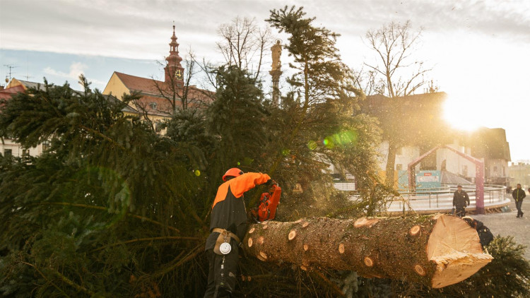 Z Masarykova náměstí mizí vánoční stromeček