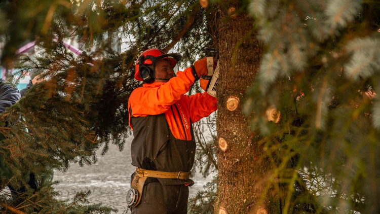 Z Masarykova náměstí mizí vánoční stromeček