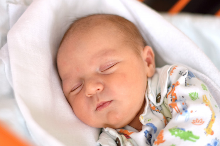 Řehoušková Daniela