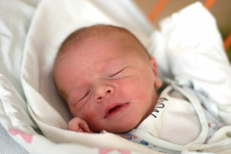 Pšenička Jindřich