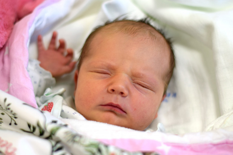 Procházková Tereza