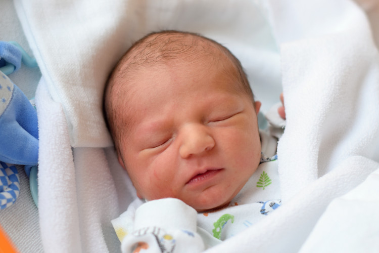 Dreveňák Christian