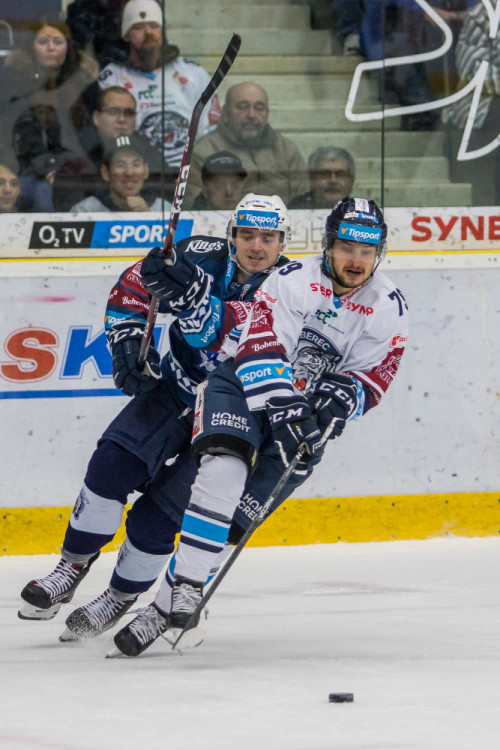 Bílí Tygři rozstříleli Plzeň sedmi góly