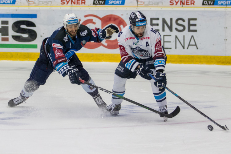 Bílí Tygři rozstříleli Plzeň sedmi góly