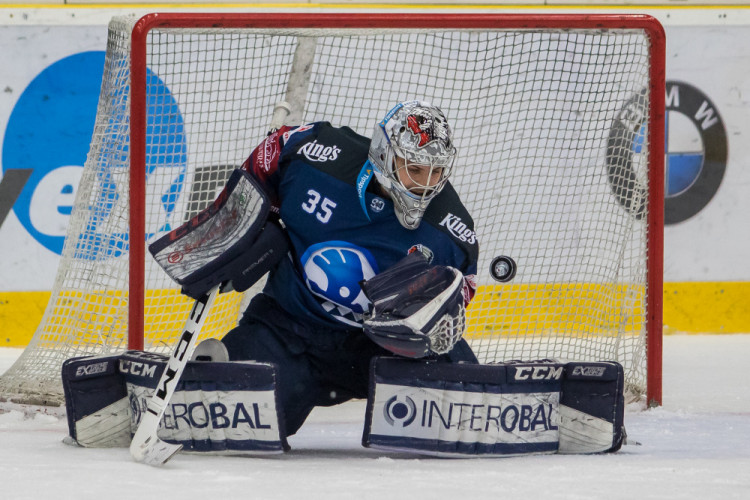 Bílí Tygři rozstříleli Plzeň sedmi góly