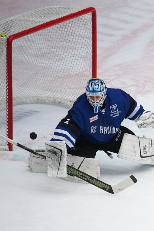 ČEZ Motor České Budějovice vs AZ Havířov