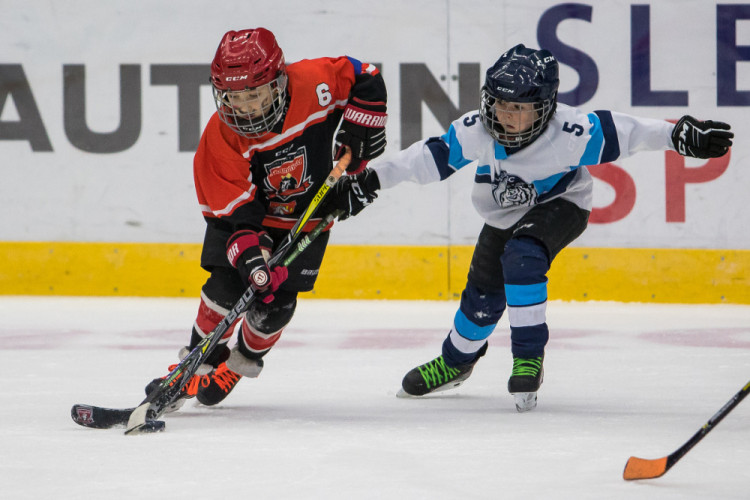 Tygři převálcovali Hradec 5:1