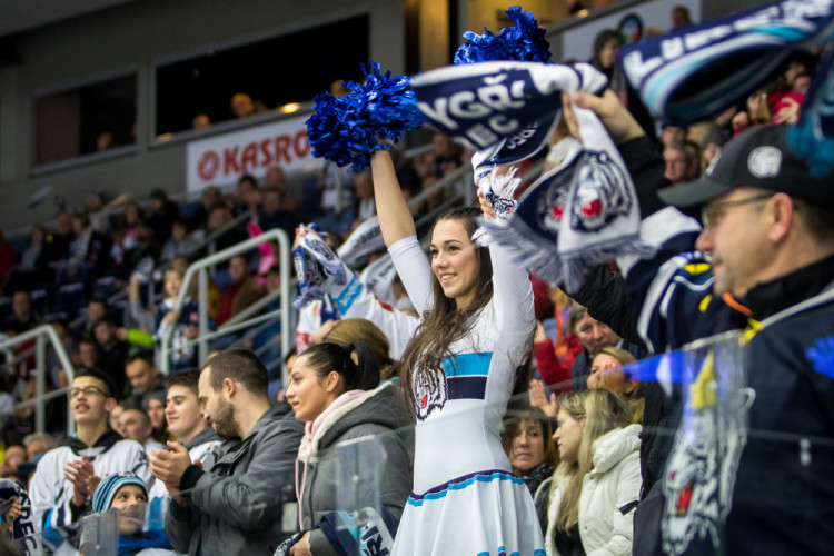 Tygři převálcovali Hradec 5:1
