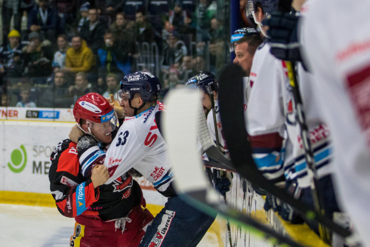 Tygři převálcovali Hradec 5:1