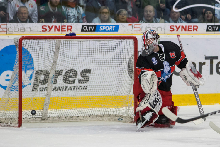 Tygři převálcovali Hradec 5:1