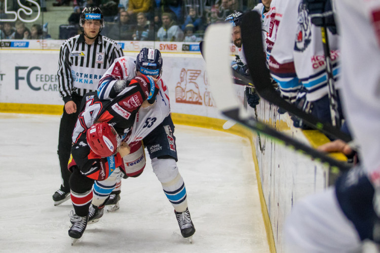 Tygři převálcovali Hradec 5:1