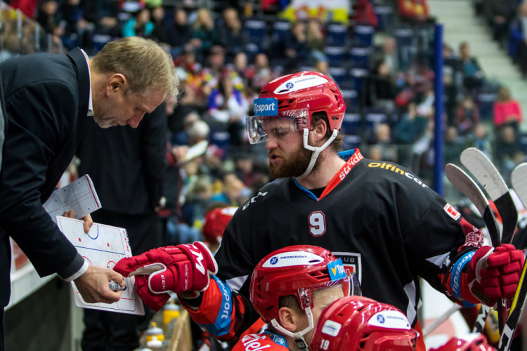 Tygři převálcovali Hradec 5:1