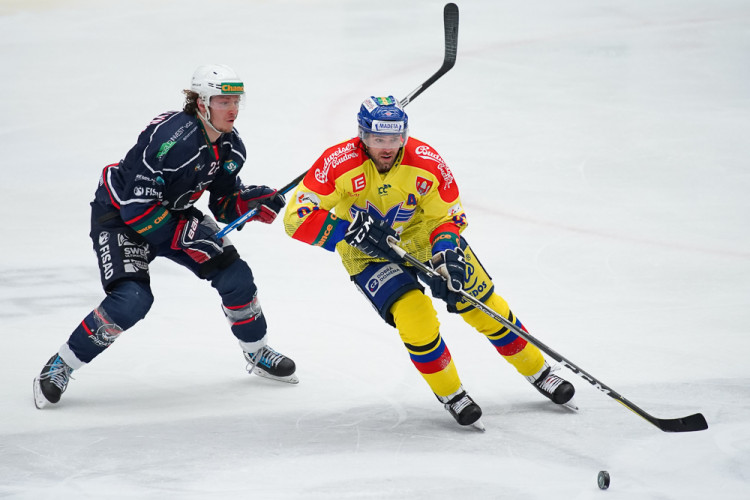 ČEZ Motor České Budějovice vs Piráti Chomutov