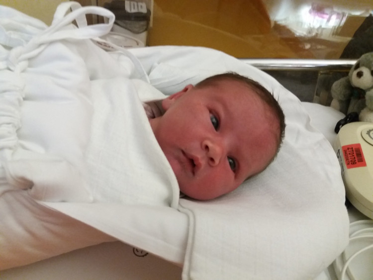 Evelinka Dvořáková