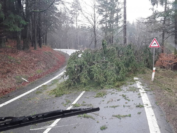 Vysočinu trápí silný vítr