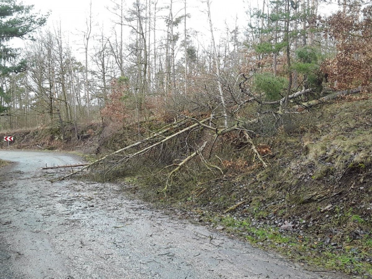 Vysočinu trápí silný vítr
