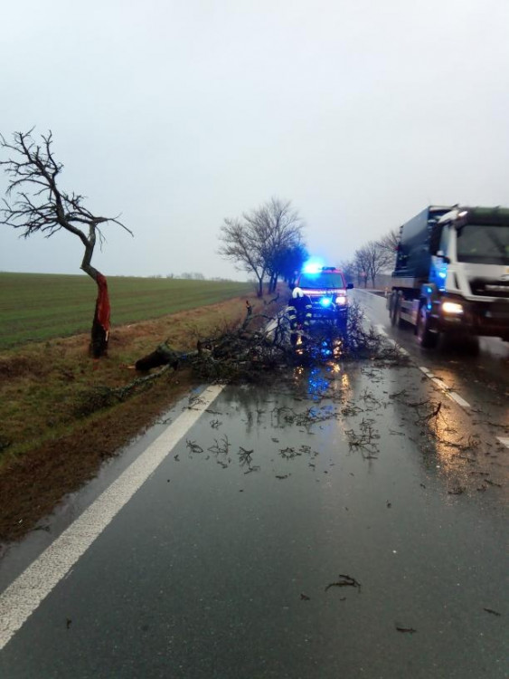 Následky vichřice Sabine v Královéhradeckém kraji