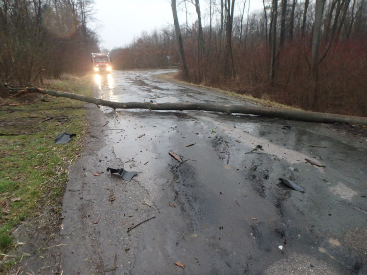 Následky vichřice Sabine v Královéhradeckém kraji