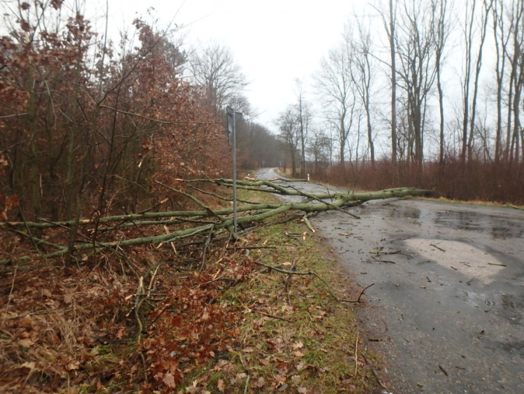 Následky vichřice Sabine v Královéhradeckém kraji