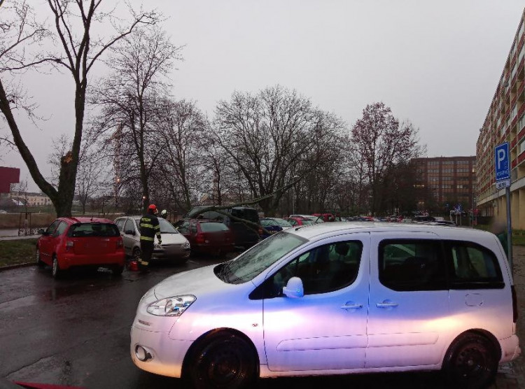 Následky vichřice Sabine v Královéhradeckém kraji