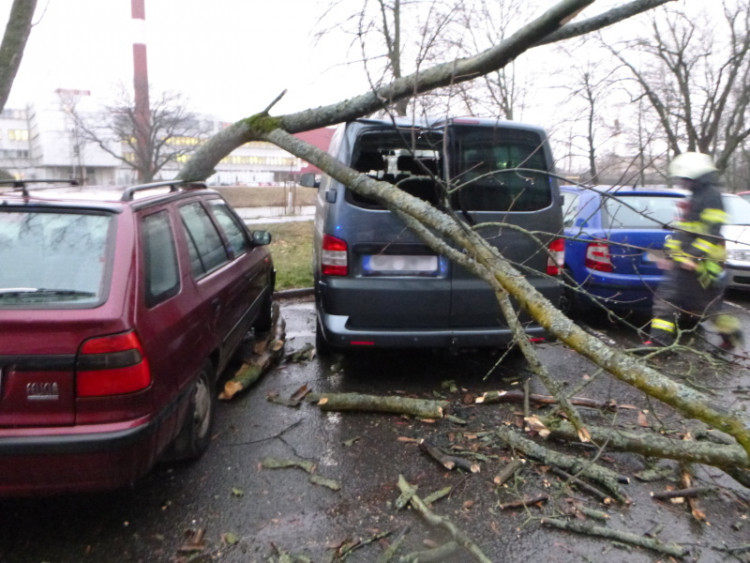Následky vichřice Sabine v Královéhradeckém kraji