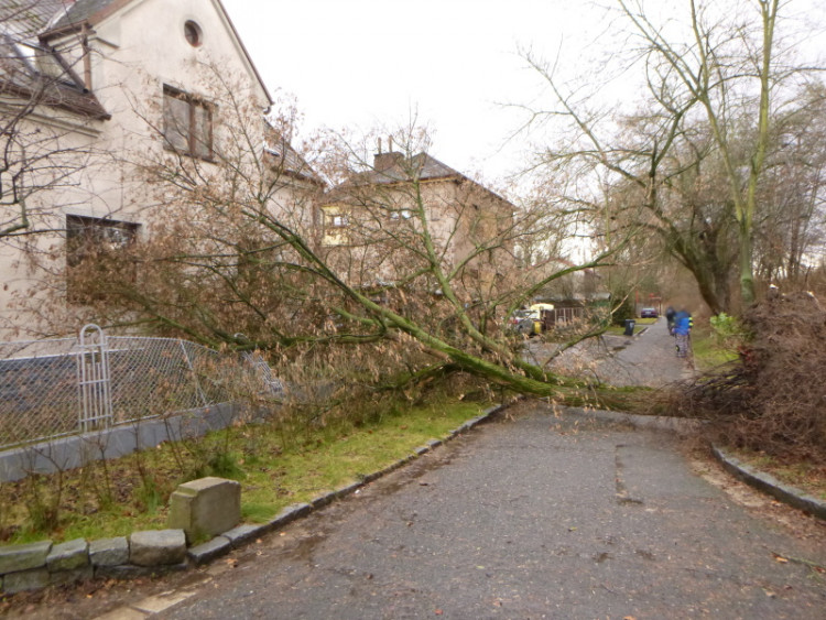 Následky vichřice Sabine v Královéhradeckém kraji