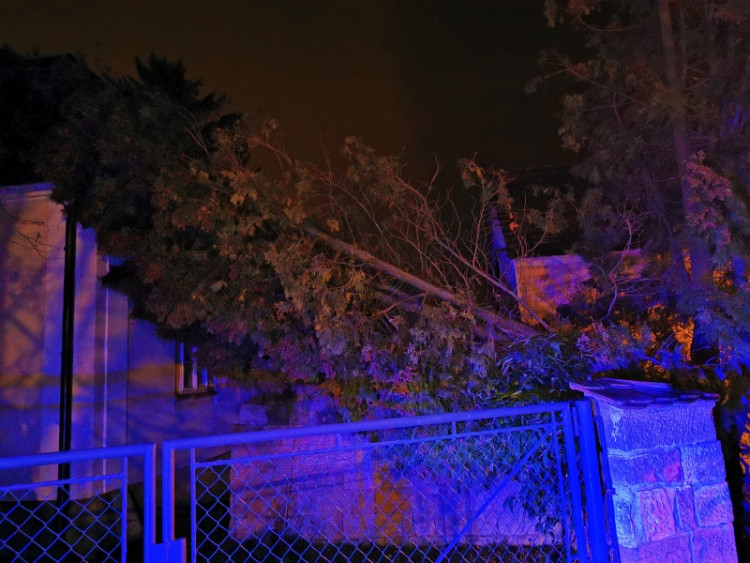 Následky vichřice Sabine v Královéhradeckém kraji