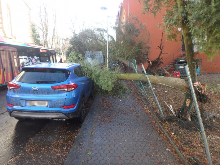 Následky vichřice Sabine v Královéhradeckém kraji