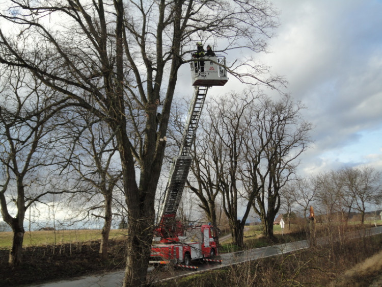 Následky vichřice Sabine v Královéhradeckém kraji