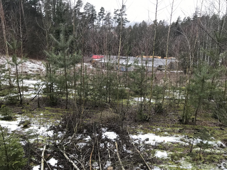 Amfiteátr v Lidových sadech