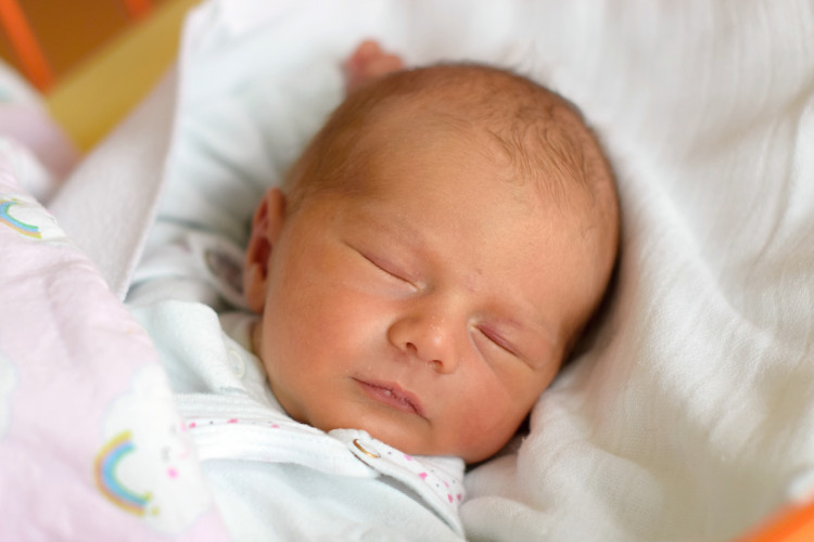 Petroušková Tereza