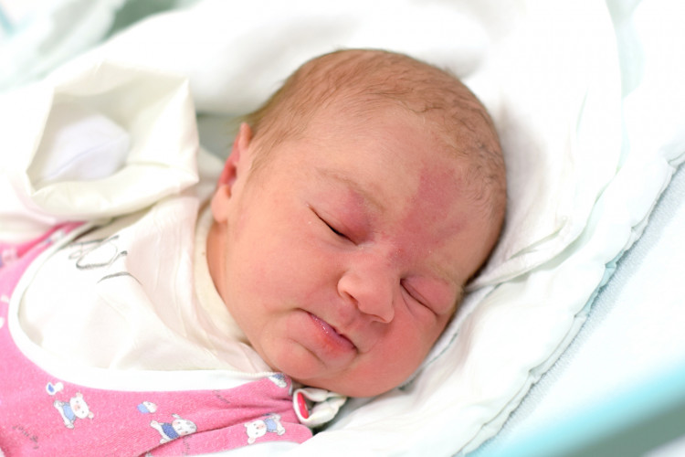 Máčalová Charlotte